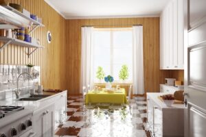 sewage water clean up